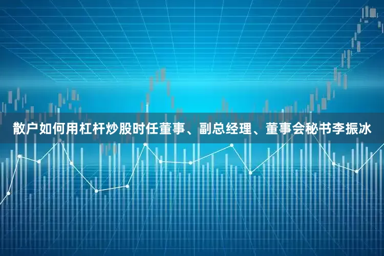 散户如何用杠杆炒股时任董事、副总经理、董事会秘书李振冰