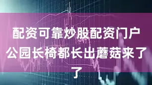 配资可靠炒股配资门户公园长椅都长出蘑菇来了