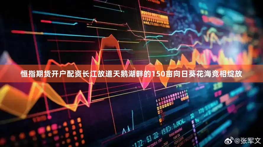恒指期货开户配资长江故道天鹅湖畔的150亩向日葵花海竞相绽放