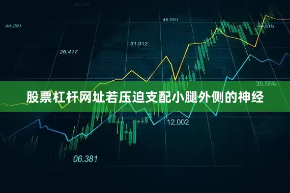 股票杠杆网址若压迫支配小腿外侧的神经