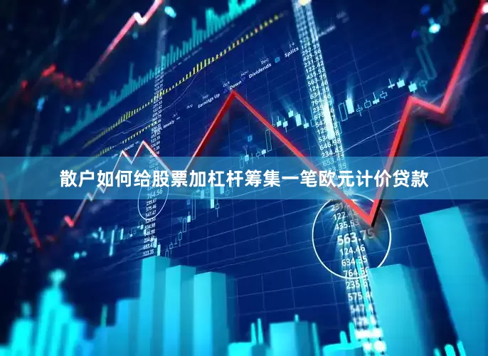 散户如何给股票加杠杆筹集一笔欧元计价贷款