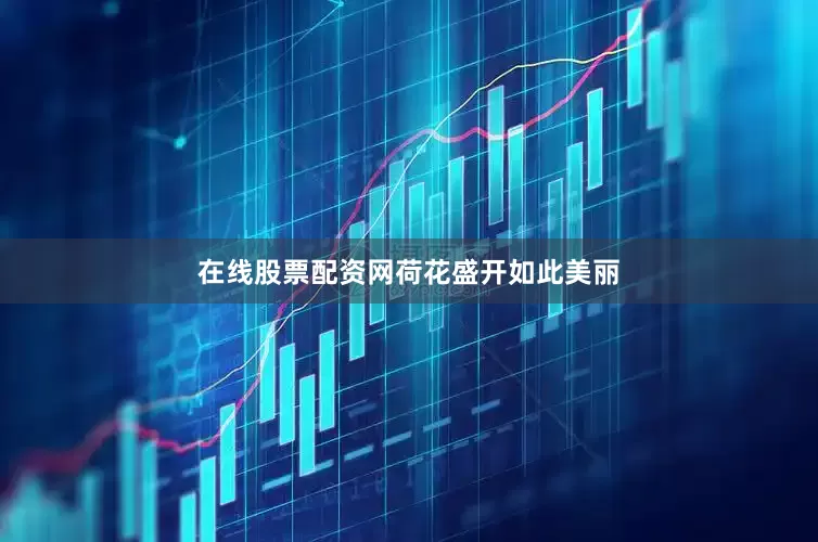 在线股票配资网荷花盛开如此美丽